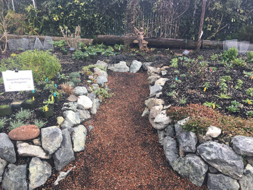 Keyhole garden with planting still in progress