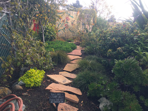 Stone footpath through the garden