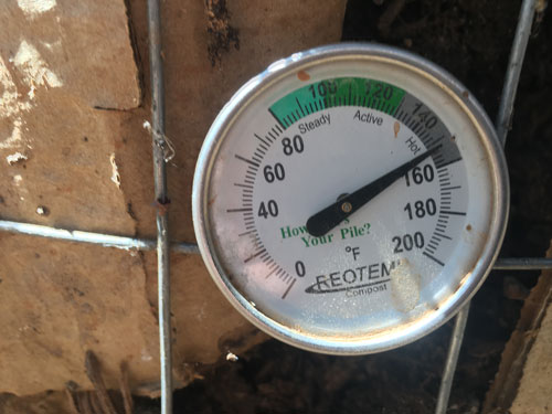thermometer in compost