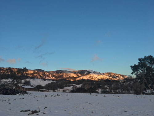 The beauty of snow on the landscape