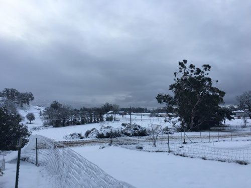 Fences heavy with snow